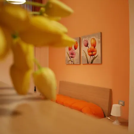 Il Cortile Fiorito Appartement *